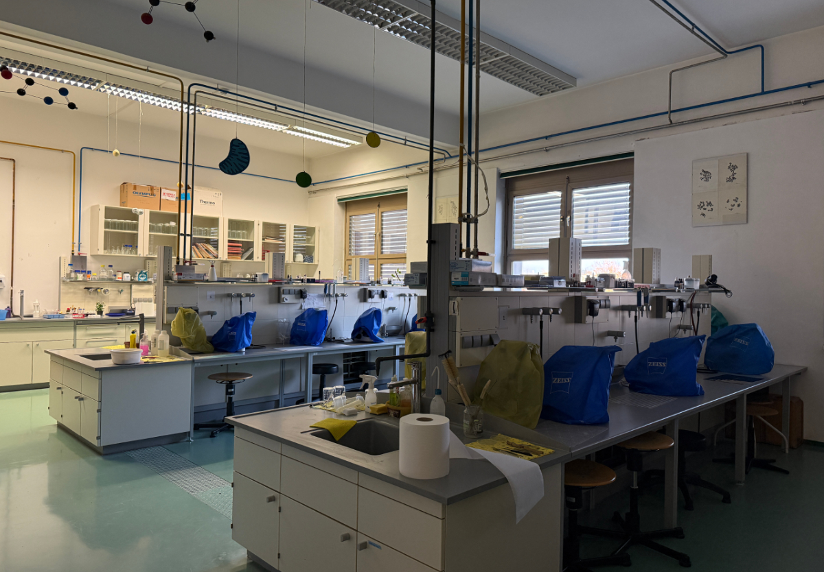 Slika 1 – Bakteriološki praktikum