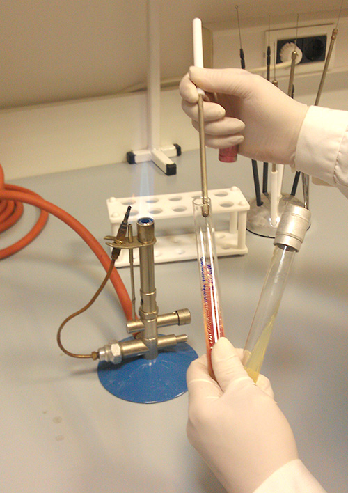 Slika 14a – Precjepljivanje bakterija s kosog na kosi agar