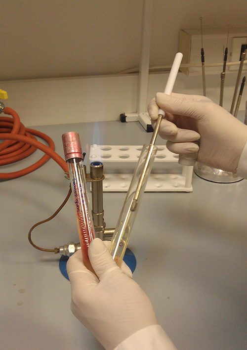 Slika 14b – Precjepljivanje na kosi agar