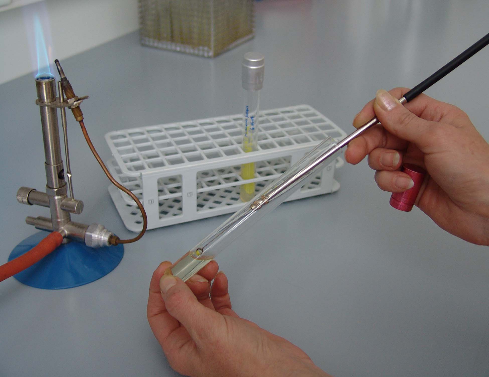 Slika 15 – Inokulacija bujona