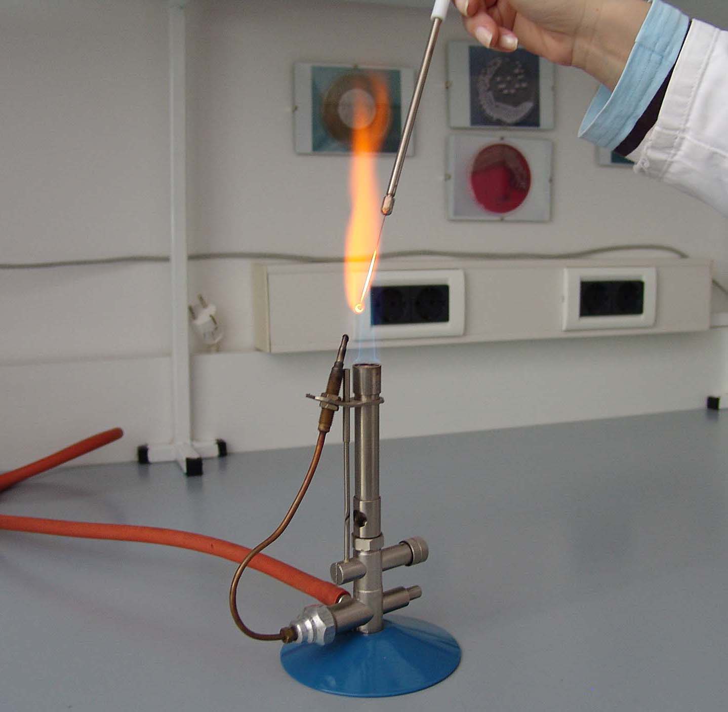 Bakteriološke ušice