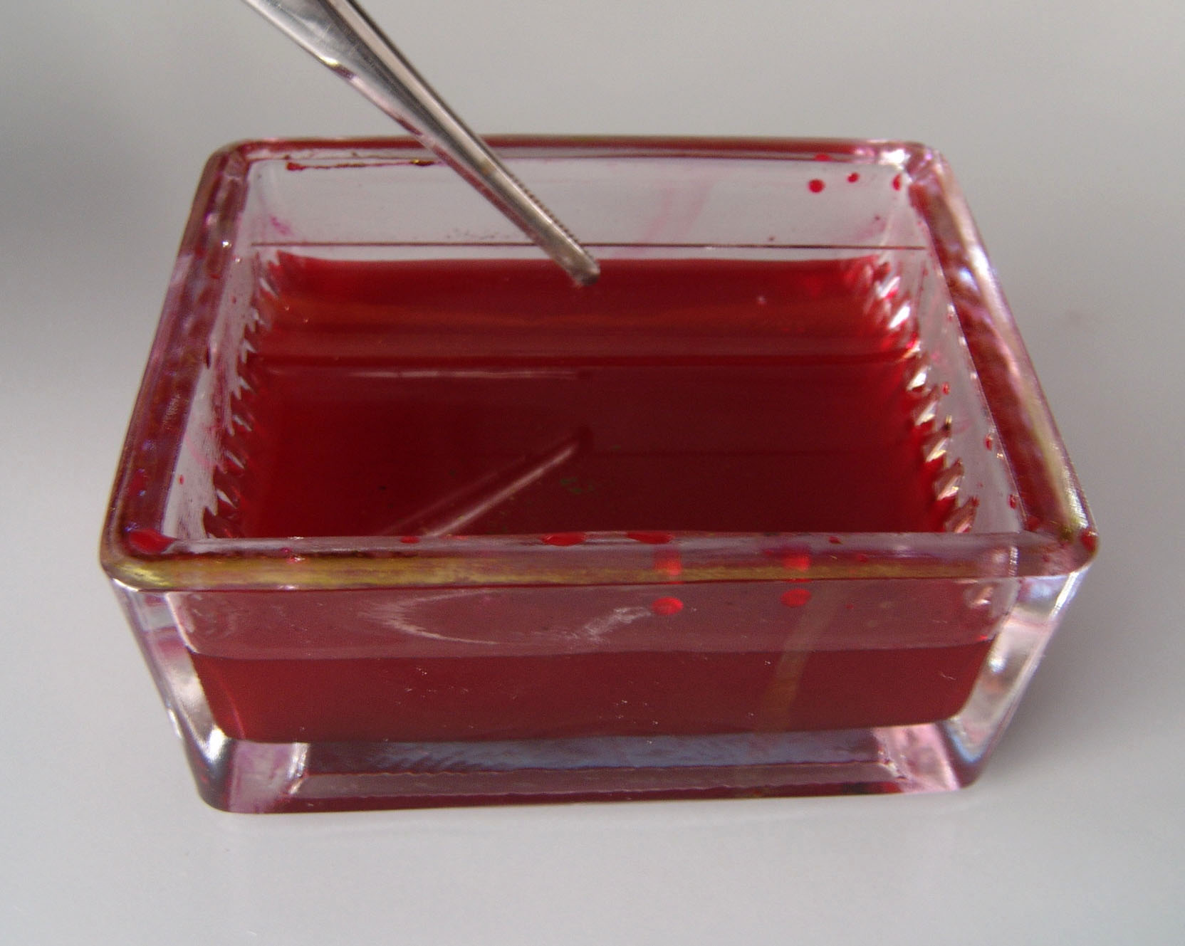 Kadica za bojenje preparata