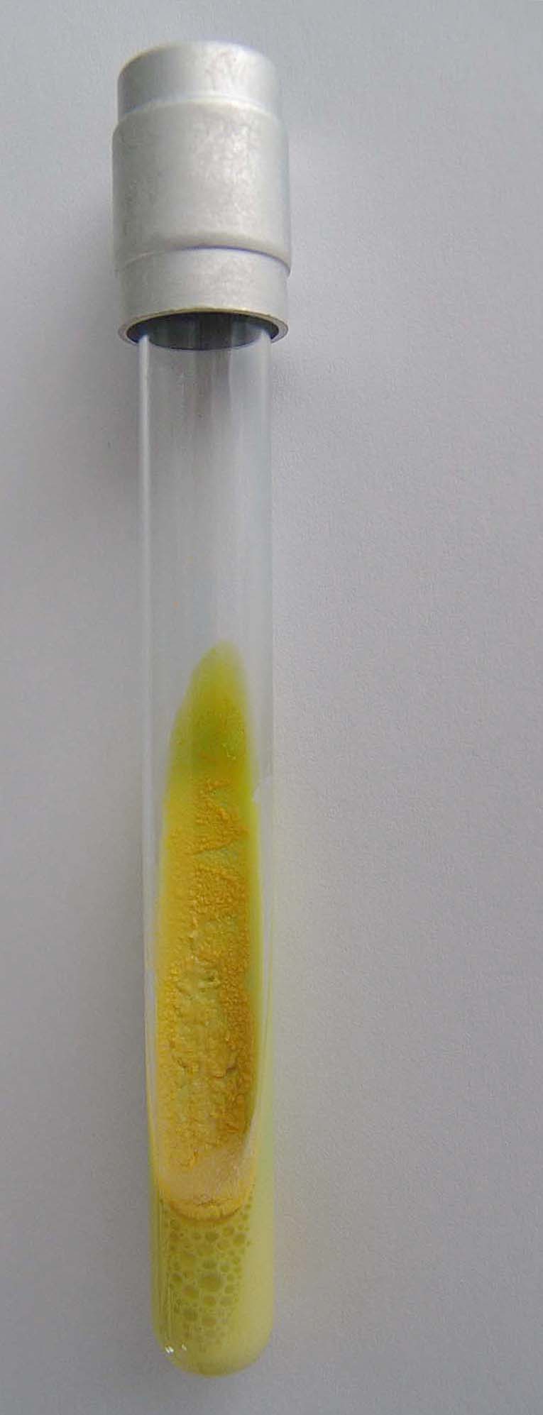 Slika 23 – Kolonije Mycobacterium phei