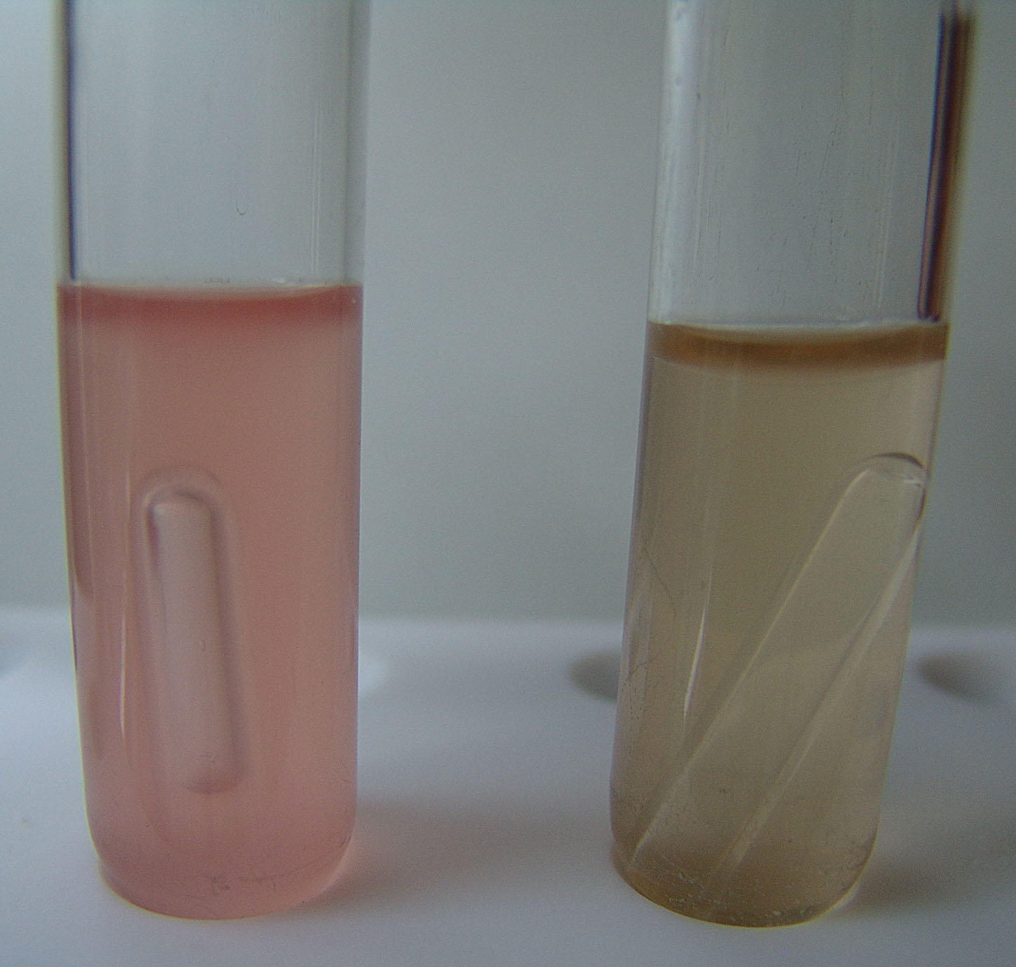 Fermentativna razgradnja šećera