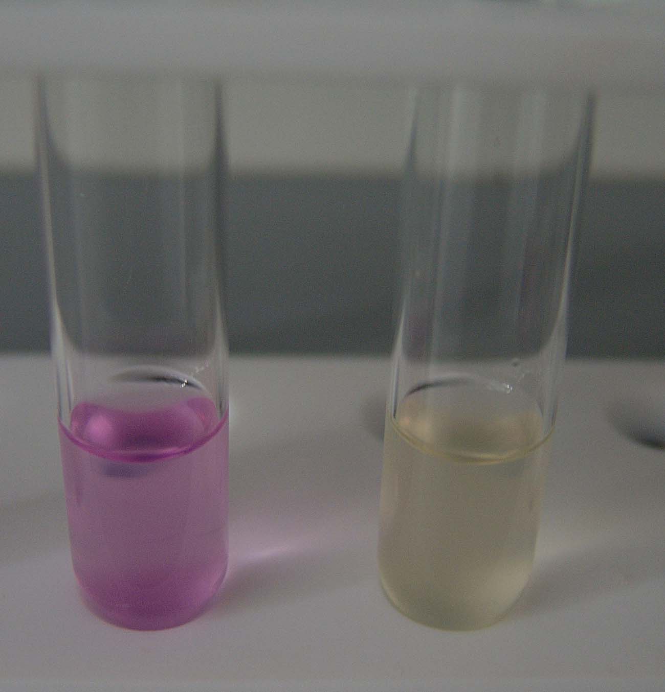 Pozitivna (desno) i negativna (lijevo) reakcija na ureju