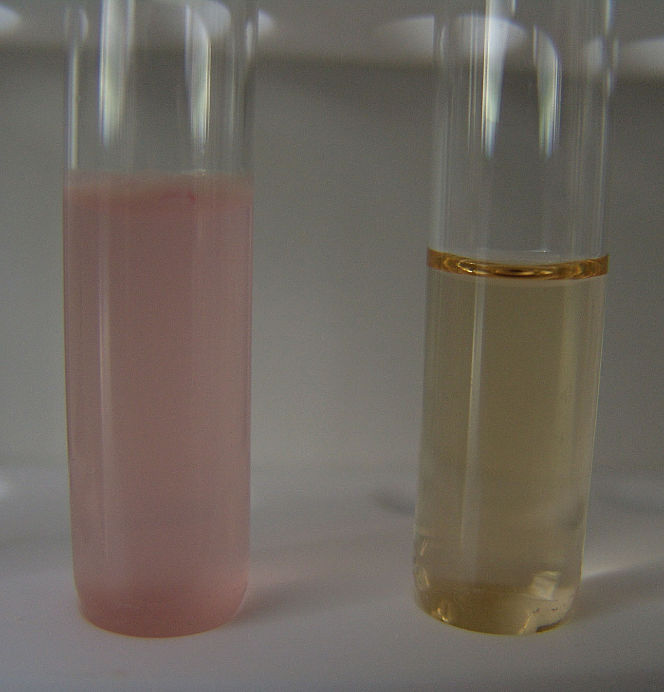 Pozitivna (lijevo) i negativna (desno) reakcija na stvaranje amonijaka