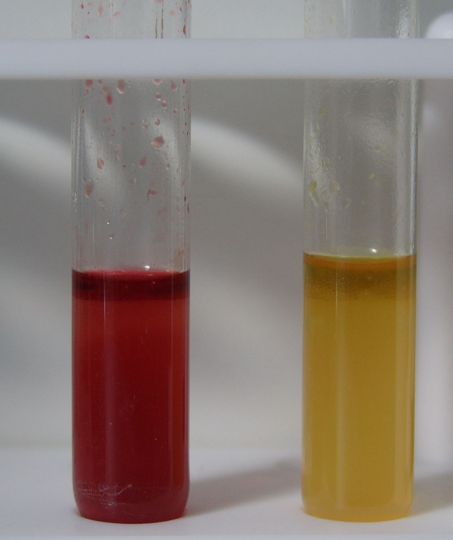 Pozitivan (lijevo) i negativan (desno) test metilno crvenilo