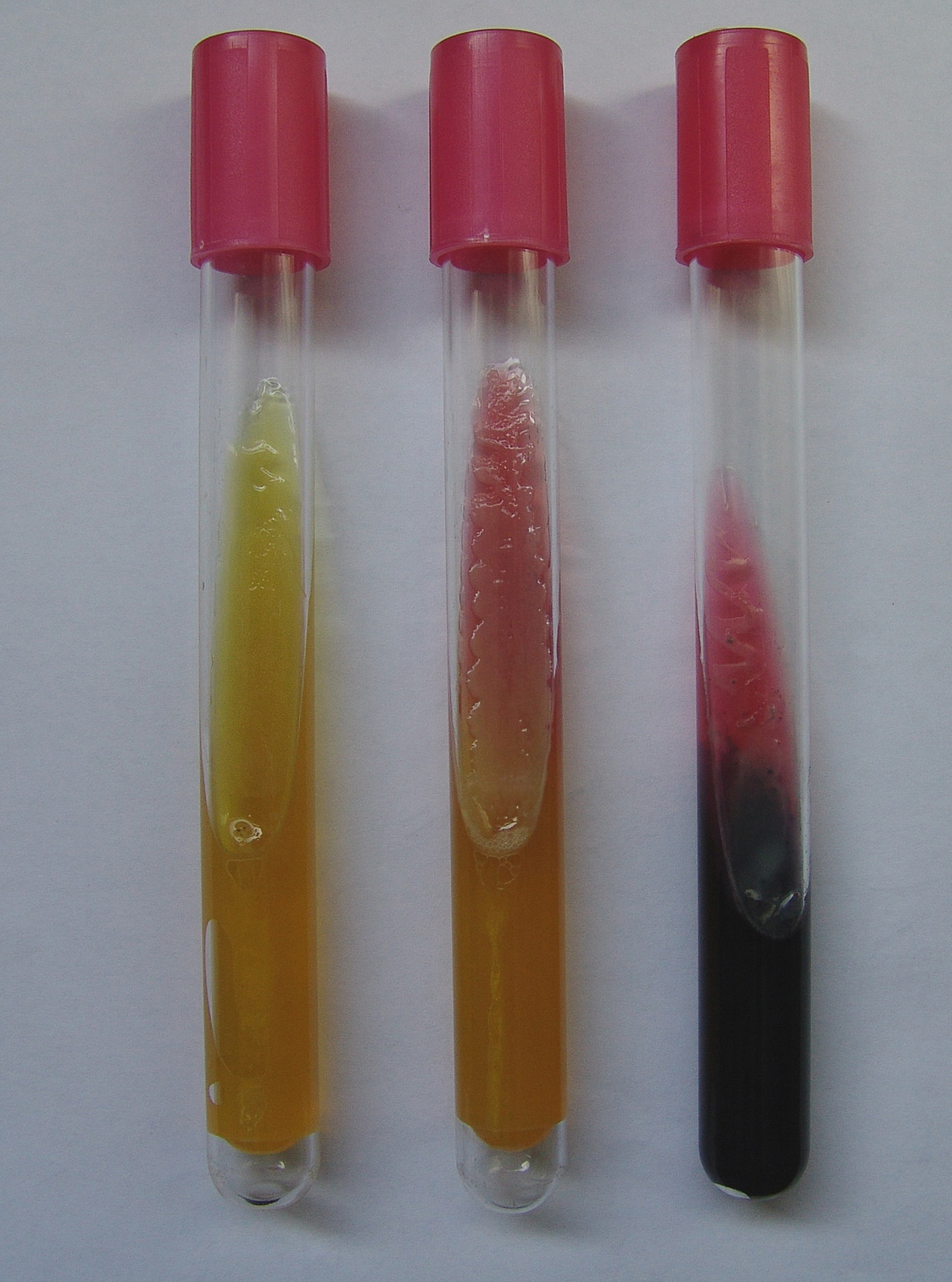 Različite reakcije na Kliglerovu dvostrukom šećeru