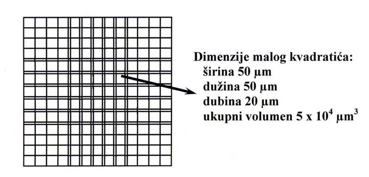 Mrežica Petroff-Hauserove komorice