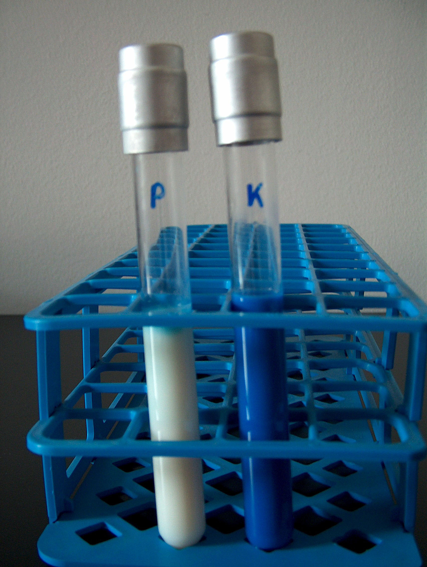 Reducirano metilensko modrilo u epruveti s kontaminiranim mlijekom (lijevo) i oksidirano metilensko modrilo u epruveti s mlijekom dobre kvalitete (desno)