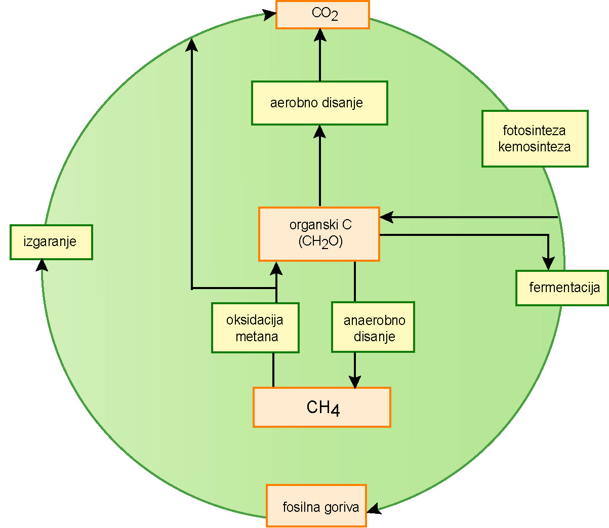 Ciklus kruženja ugljika u prirodi