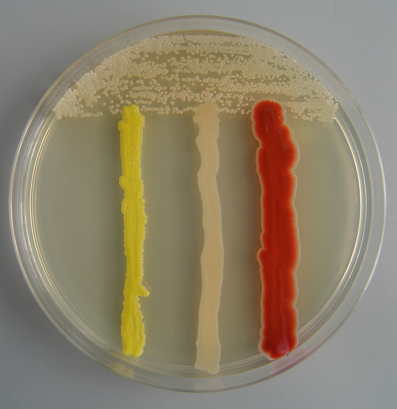 Slika 93a – Metoda unakrsnog pruganja
