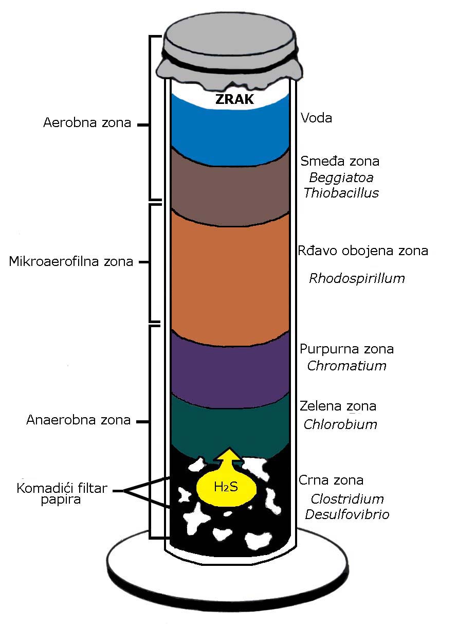Shematski prikaz stupca po Vinogradskom